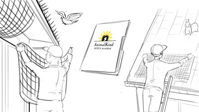 AnimalKind-Storyboard-b Whiteboard Storyboard