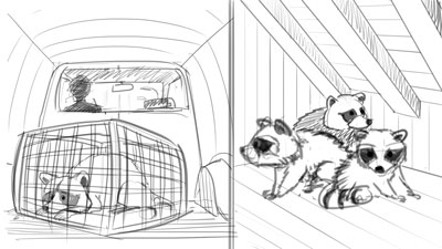 AnimalKind-Storyboard-c Whiteboard Drawing