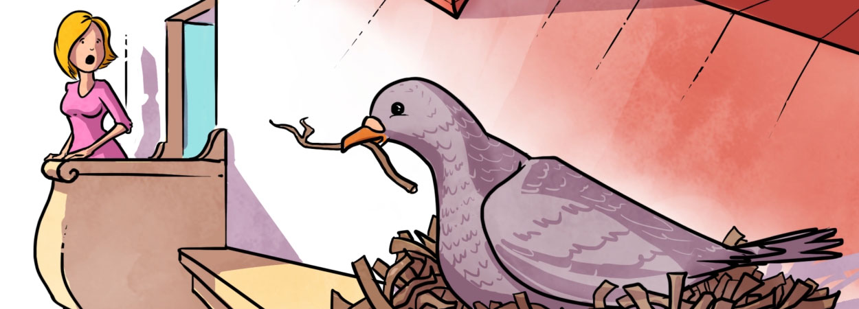 whitebboard-animation Whiteboard Drawings